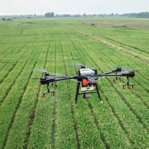 Optimisation du rendement des cultures