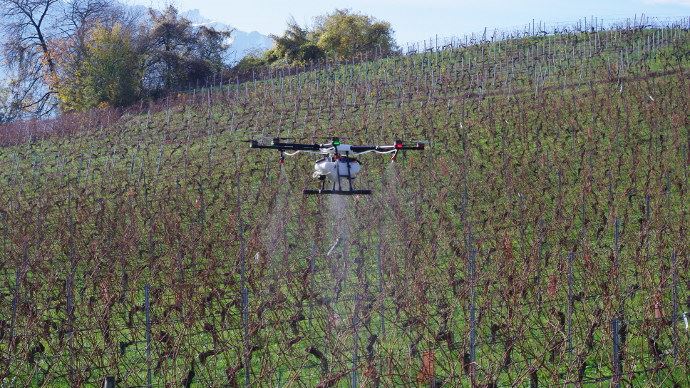 Drone dans le secteur viticole