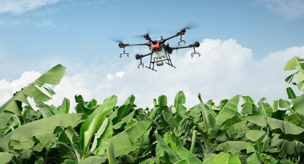 Drone agricole de surveillance outdoor