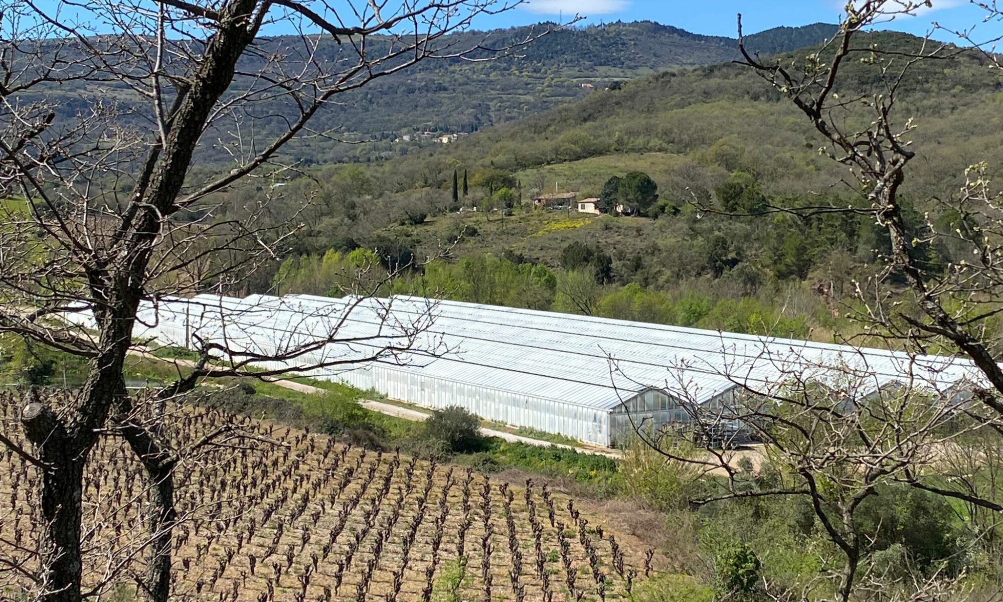 Drone agricole pour du blanchiment de serre