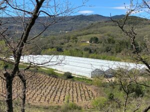 Drone agricole pour du blanchiment de serre